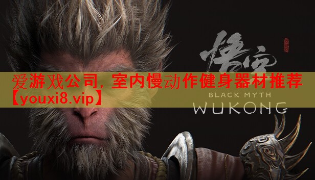 爱游戏公司，室内慢动作健身器材推荐