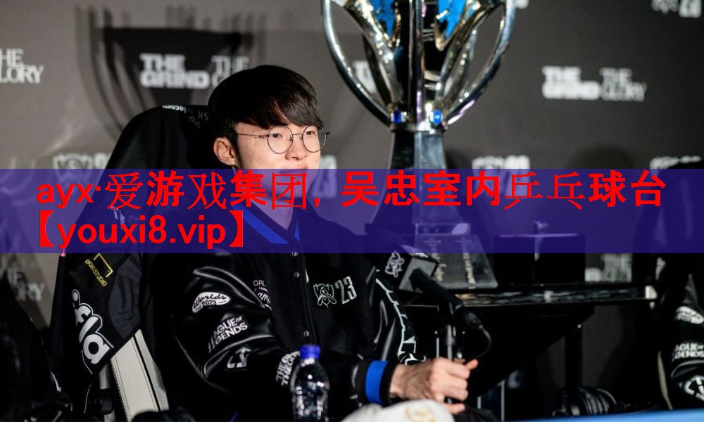 ayx·爱游戏集团，吴忠室内乒乓球台