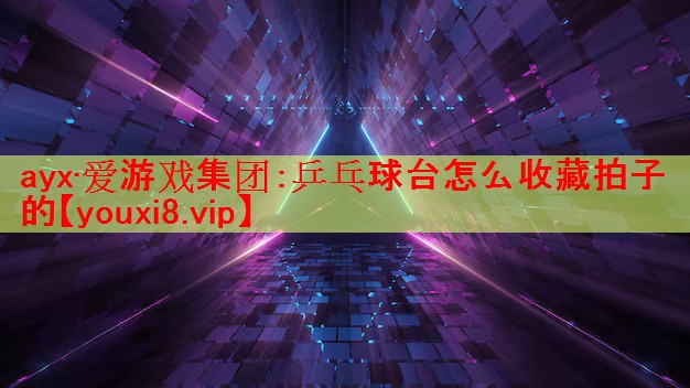 乒乓球台怎么收藏拍子的 乒乓球台怎么收藏拍子的