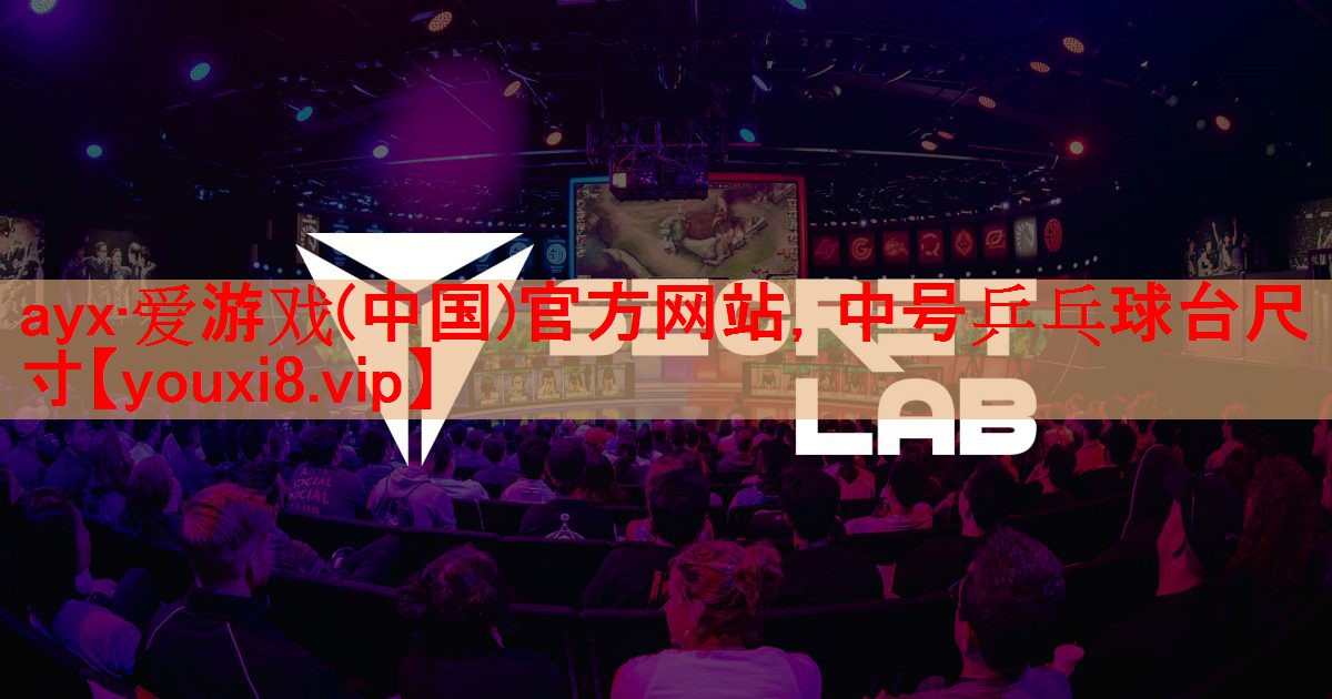 中号乒乓球台尺寸
